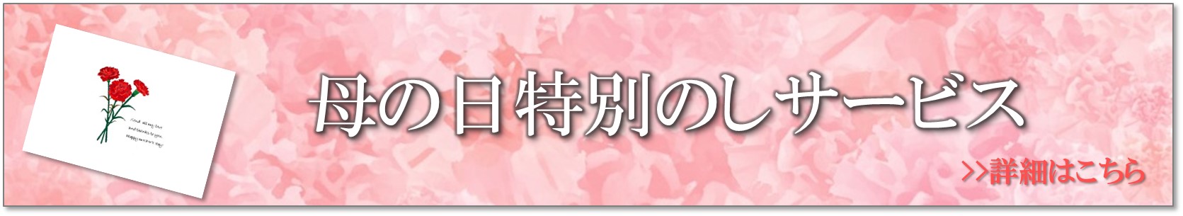 母の日熨斗紹介バナー