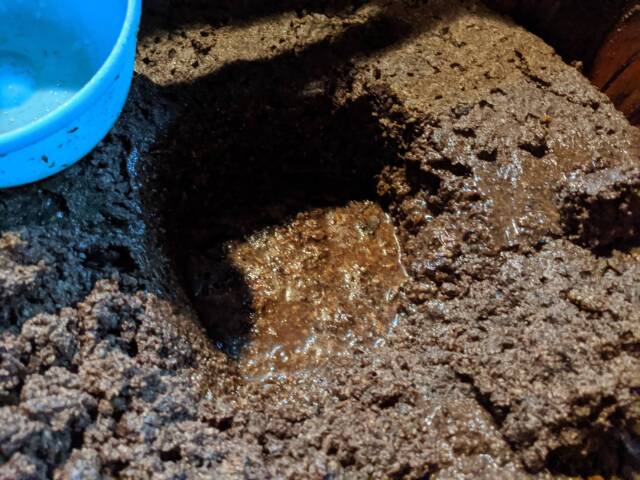 こおろぎ醤油